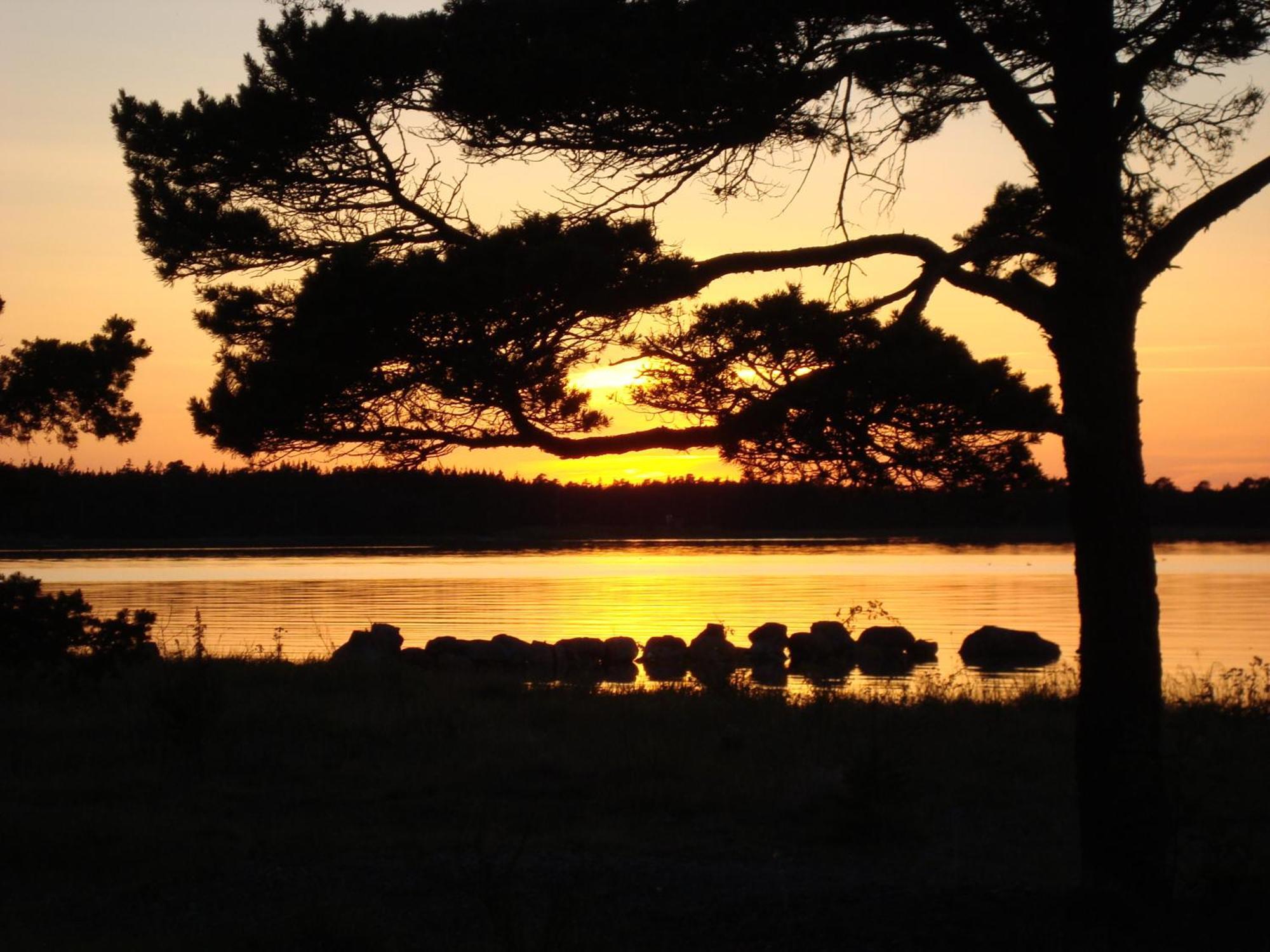 Gotlands Idrottscenter Vandrarhem Fårösund Oda fotoğraf
